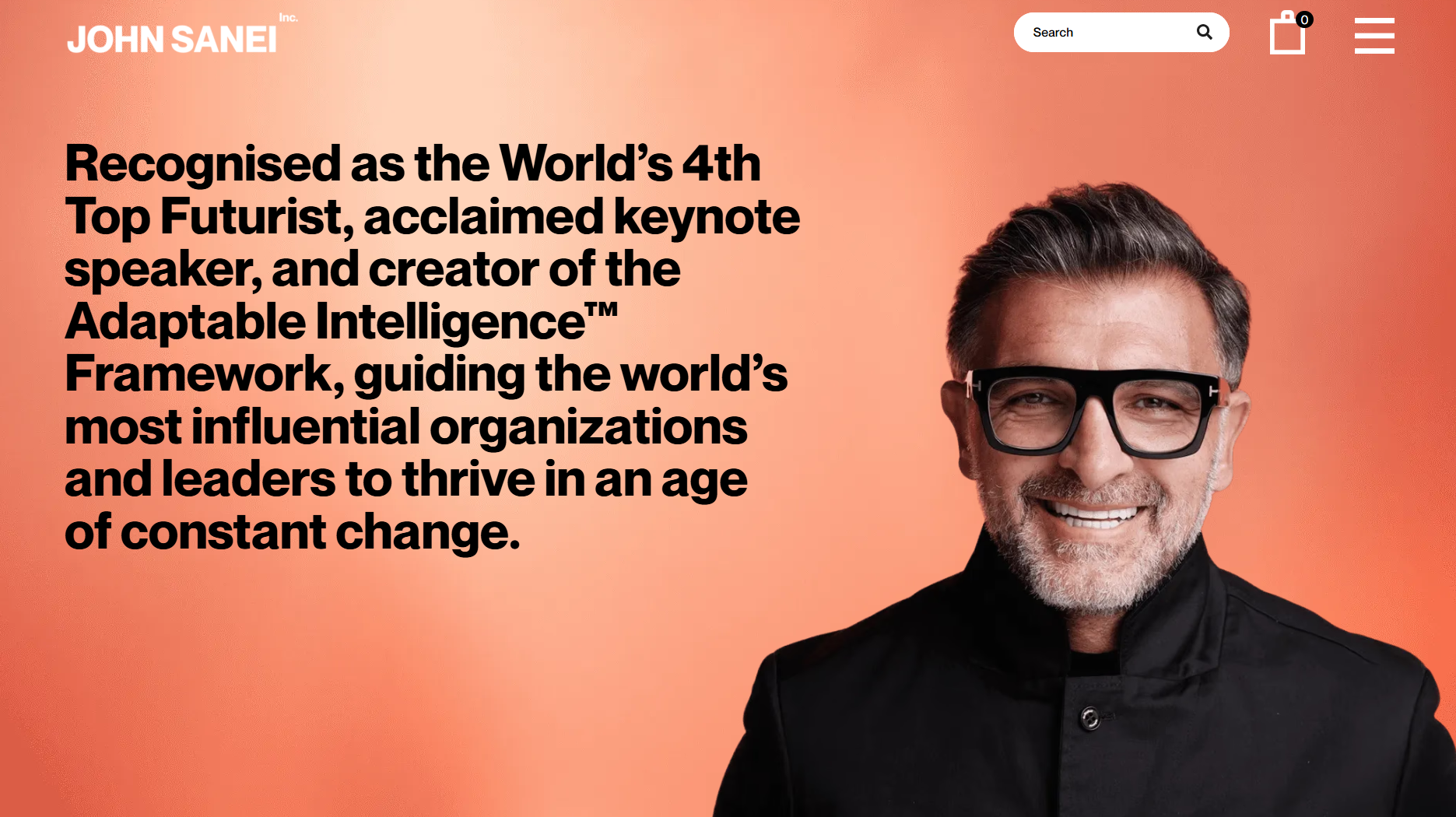 John Sanei website screenshot