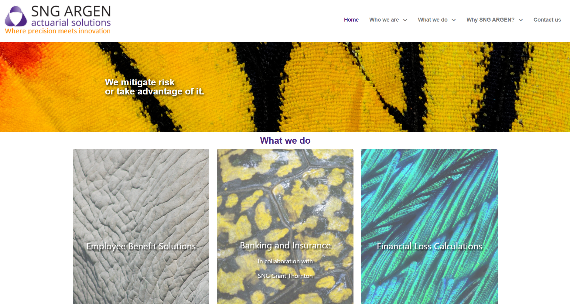 SNG Argen website screenshot