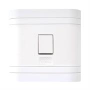 Lesco 2 Pole Flush Isolator Switch with Square Flush Cover
