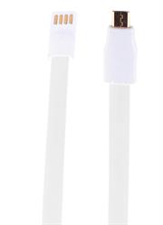 Whizzy Extra Long Micro USB Charge And Data Sync Cable –