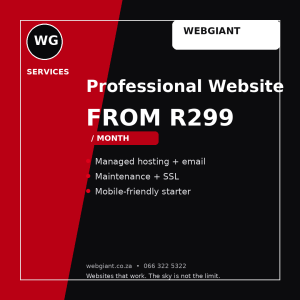 Professional Website Plan
